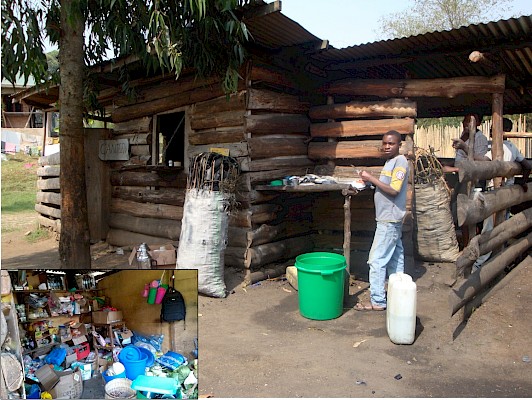 One of the Potter's Village goats