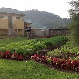 Vegetable Garden